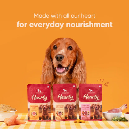 Hearty Chunky Chicken & Liver in Gravy Wet Dog Food 70g