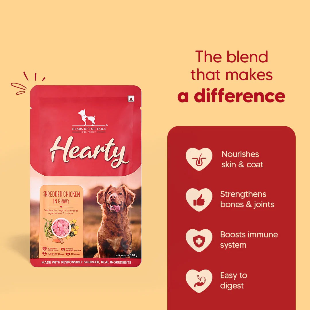 Hearty Shredded Chicken & Pumpkin in Gravy Wet Dog Food 70g