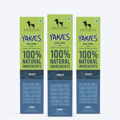 HUFT Yakies Vegetarian Natural Chew Bone - Mint - Heads Up For Tails