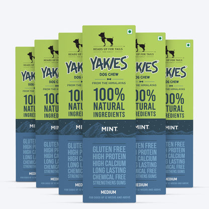 HUFT Yakies Vegetarian Natural Chew Bone - Mint - Heads Up For Tails