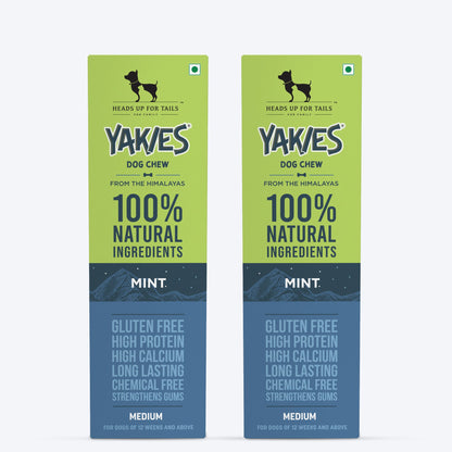 HUFT Yakies Vegetarian Natural Chew Bone - Mint - Heads Up For Tails