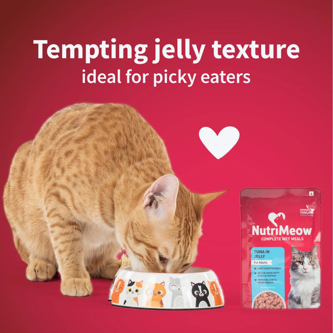 NutriMeow Tuna In Jelly Wet Food For Adult Cat - 80 gm