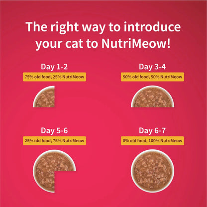 NutriMeow Chicken In Gravy Wet Food For Adult Cat - 80 gm