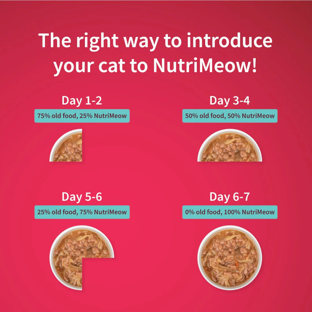 NutriMeow Oceanfish In Gravy Wet Food For Adult Cat - 80 gm