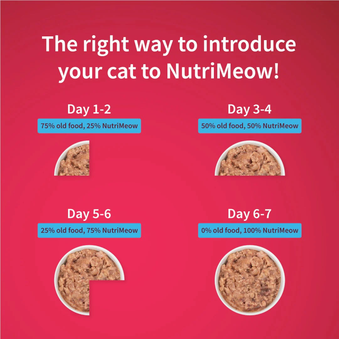NutriMeow Tuna In Jelly Wet Food For Kitten - 80 gm