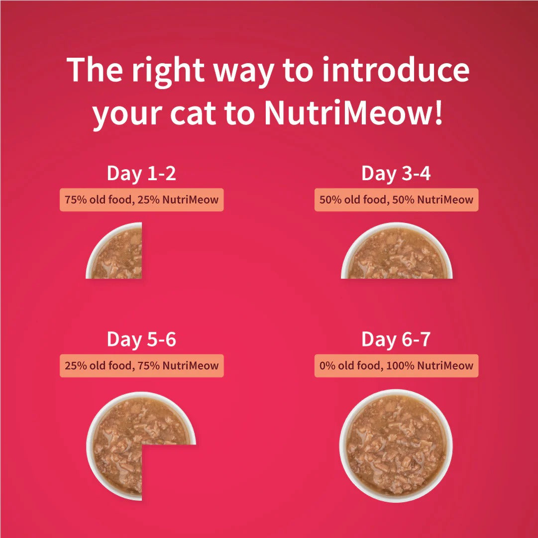 NutriMeow Salmon In Gravy Wet Food For Adult Cat - 80 gm
