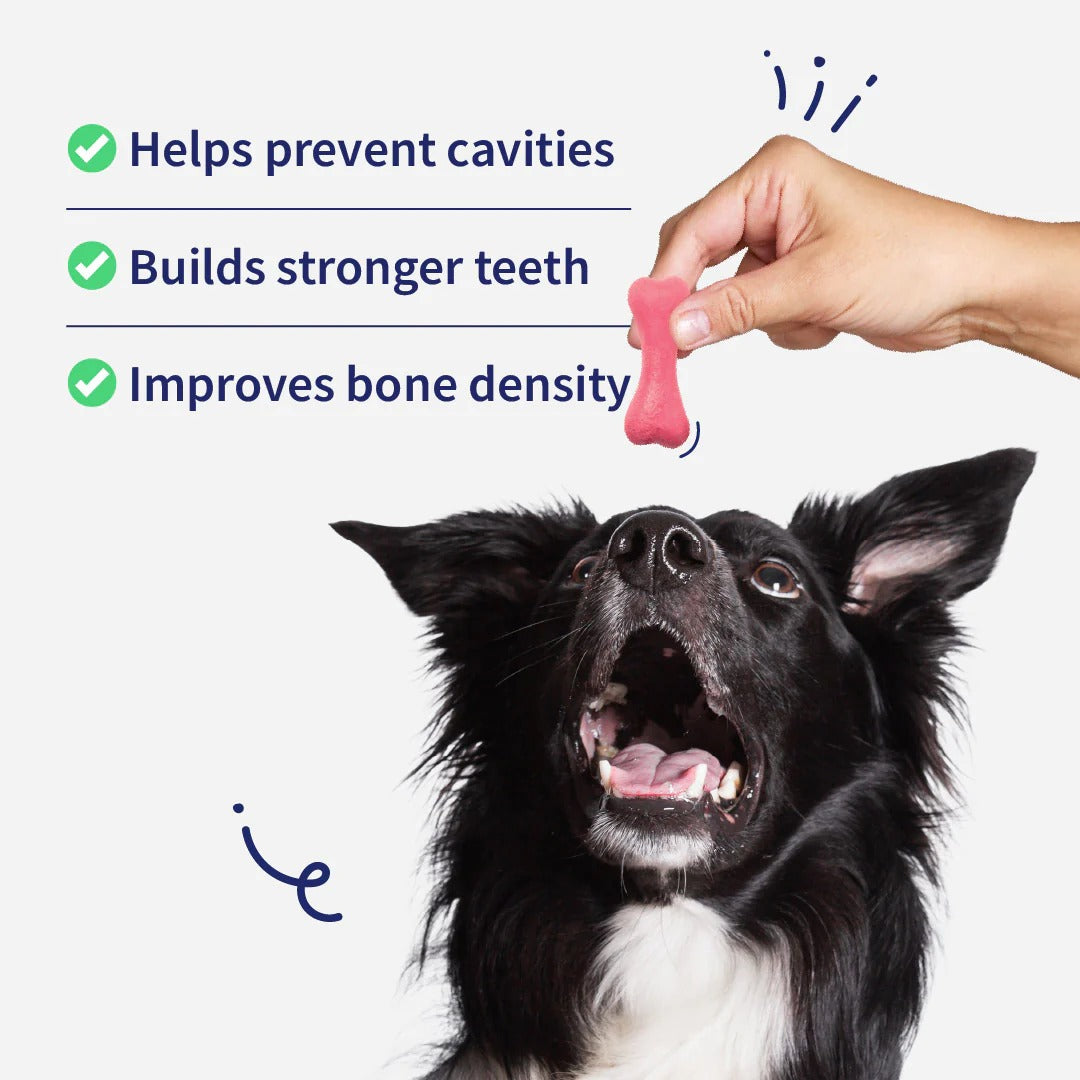 NutriWag Strawberry Calcium Chew Bones Treats For Dog