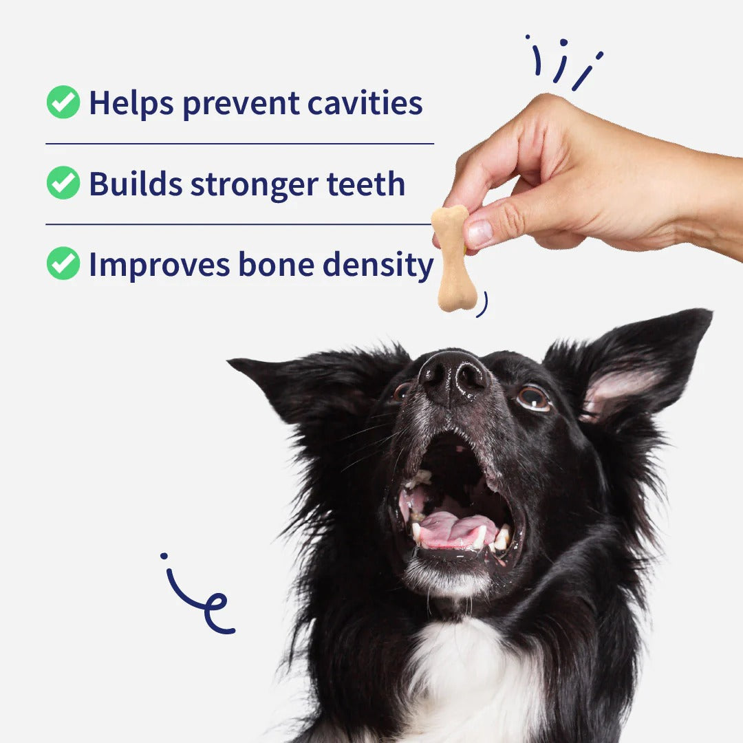 NutriWag Milk Calcium Chew Bones Treats For Dog