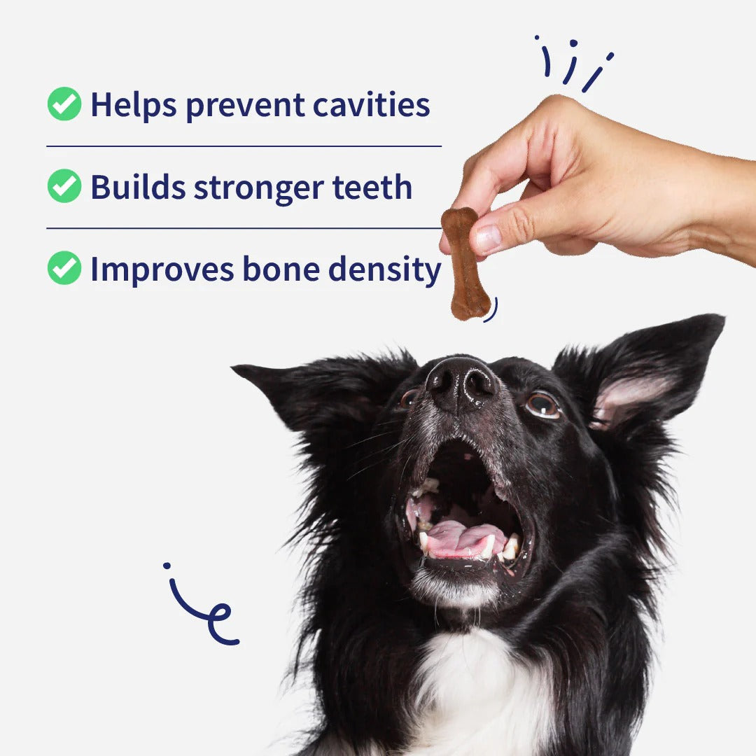 NutriWag Chicken Calcium Chew Bones Treats For Dog