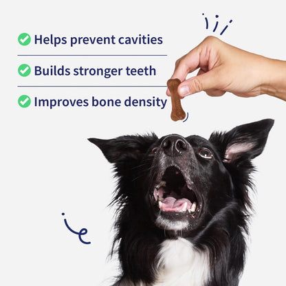NutriWag Chicken Calcium Chew Bones Treats For Dog