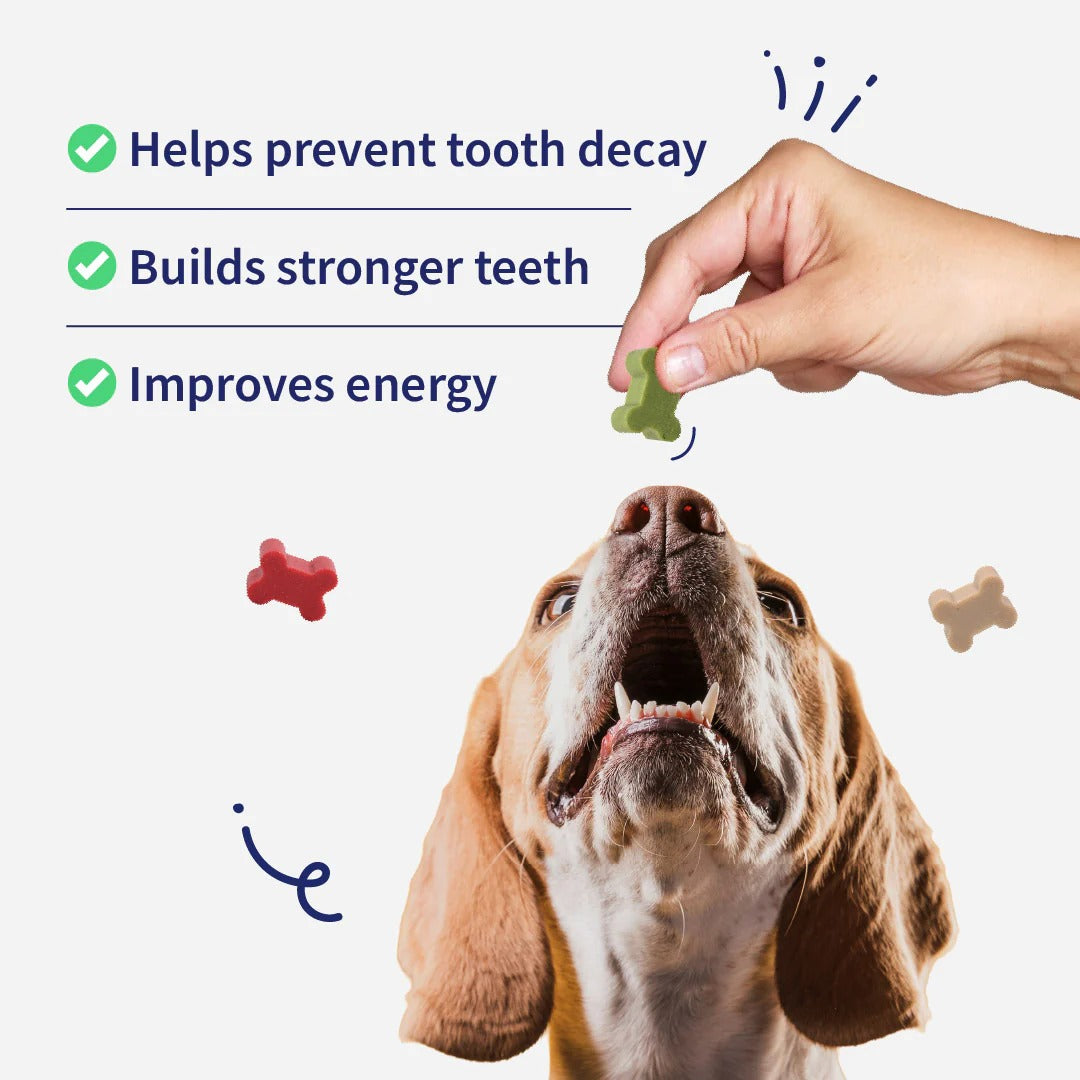 NutriWag Assorted Training Bites Treats For Dog - 200 gm