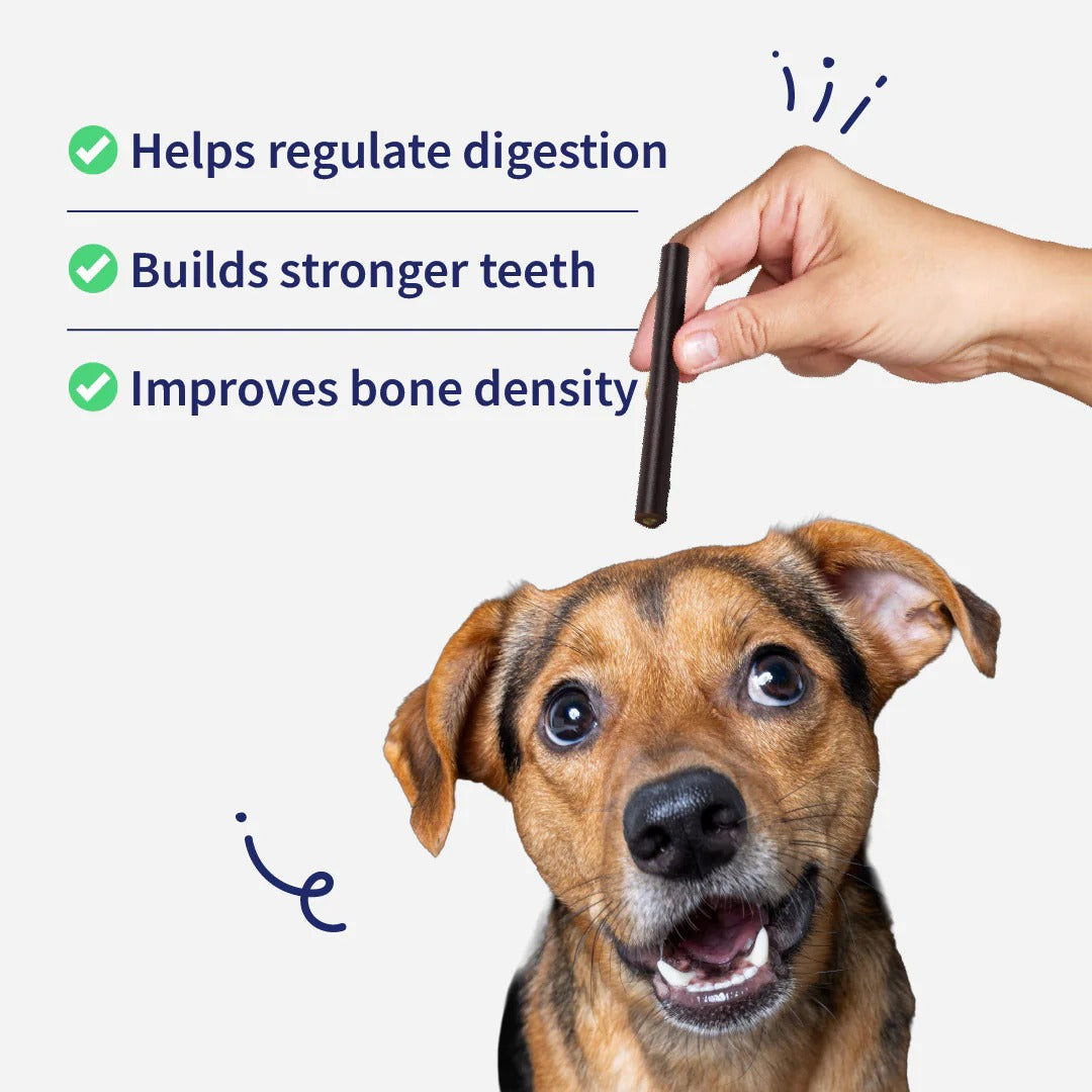 NutriWag Spinach & Cheese Duo Sticks Treats For Dog - 70 gm
