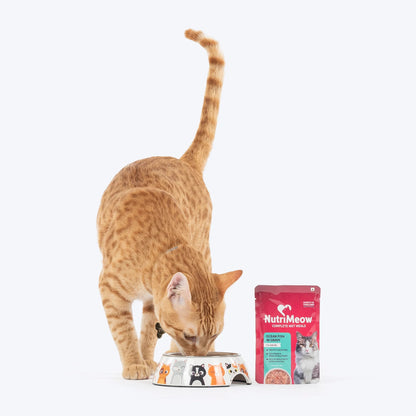 NutriMeow Oceanfish In Gravy Wet Food For Adult Cat - 80 gm