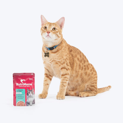 NutriMeow Oceanfish In Gravy Wet Food For Adult Cat - 80 gm