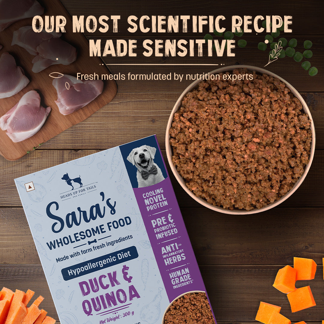 HUFT Sara's Wholesome Hypoallergenic Diet Duck & Quinoa Dog Wet Food - 300 g - Heads Up For Tails