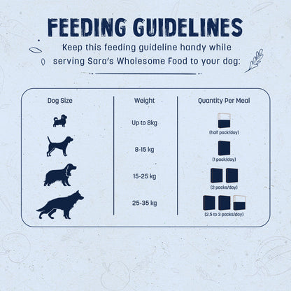 HUFT Sara's Wholesome Hypoallergenic Diet Pork & Quinoa Dog Wet Food - 300 g - Heads Up For Tails