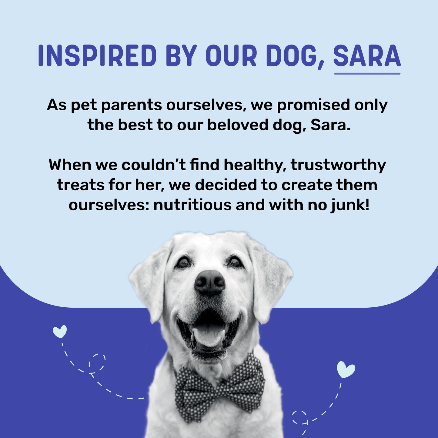 Sara's Dehydrated Chicken Jerky with Blueberry Dog Treats 70g