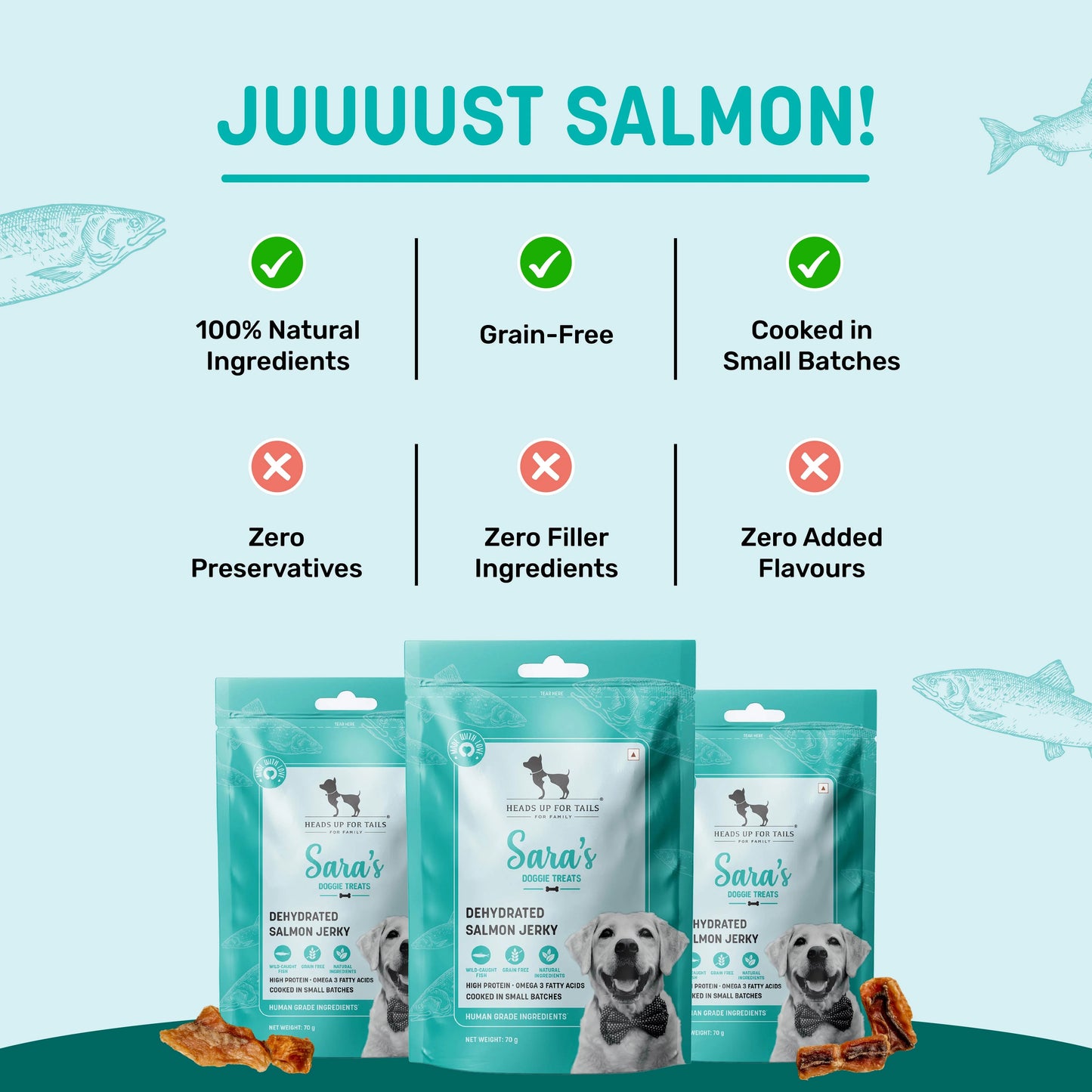 Sara's Dehydrated Salmon Jerky Dog Treats Grain-Free 70g