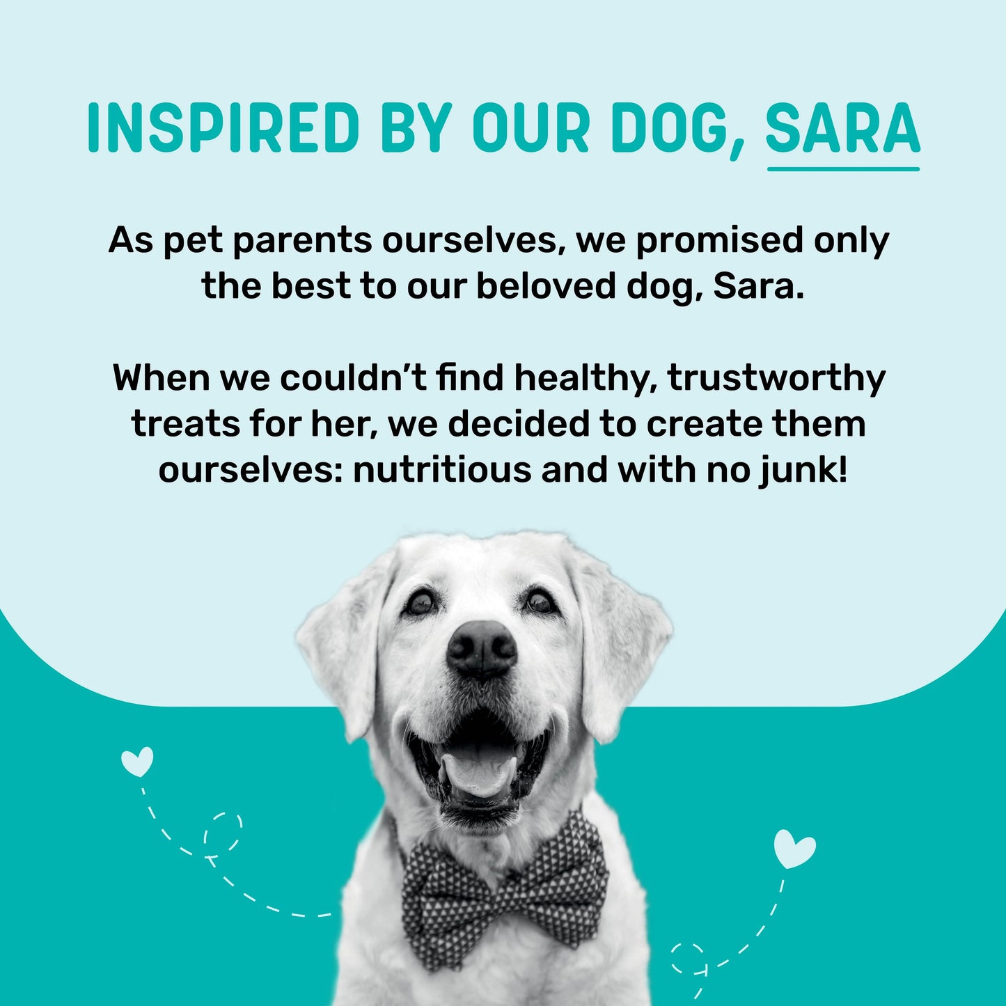 Sara's Dehydrated Salmon Jerky Dog Treats Grain-Free 70g