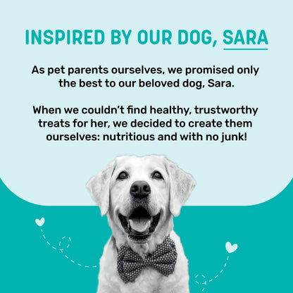Sara's Dehydrated Salmon Jerky Dog Treats Grain-Free 70g