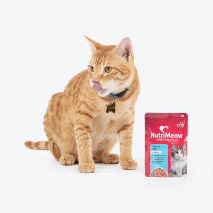 NutriMeow Tuna In Jelly Wet Food For Adult Cat - 80 gm