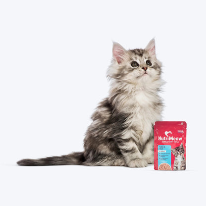 NutriMeow Tuna In Jelly Wet Food For Kitten - 80 gm
