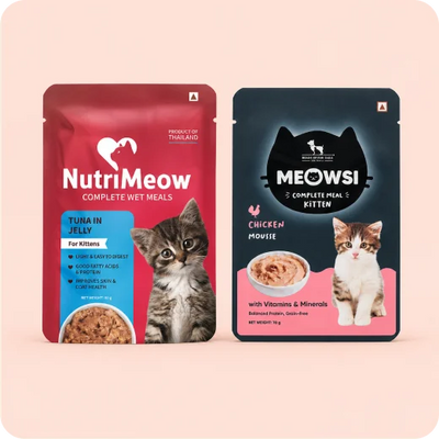 Cat Wet Food