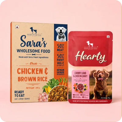 Dog Wet Food