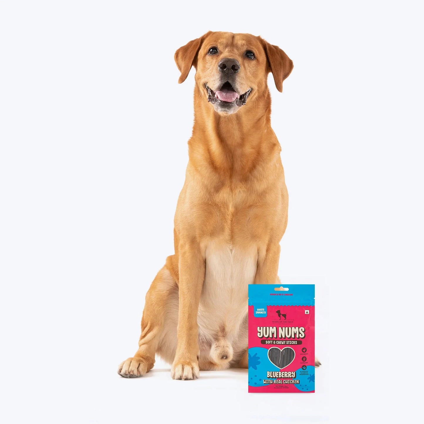 HUFT Yum Nums Dog Treats Soft & Chewy Sticks Blueberry With Real Chicken - 70 gm