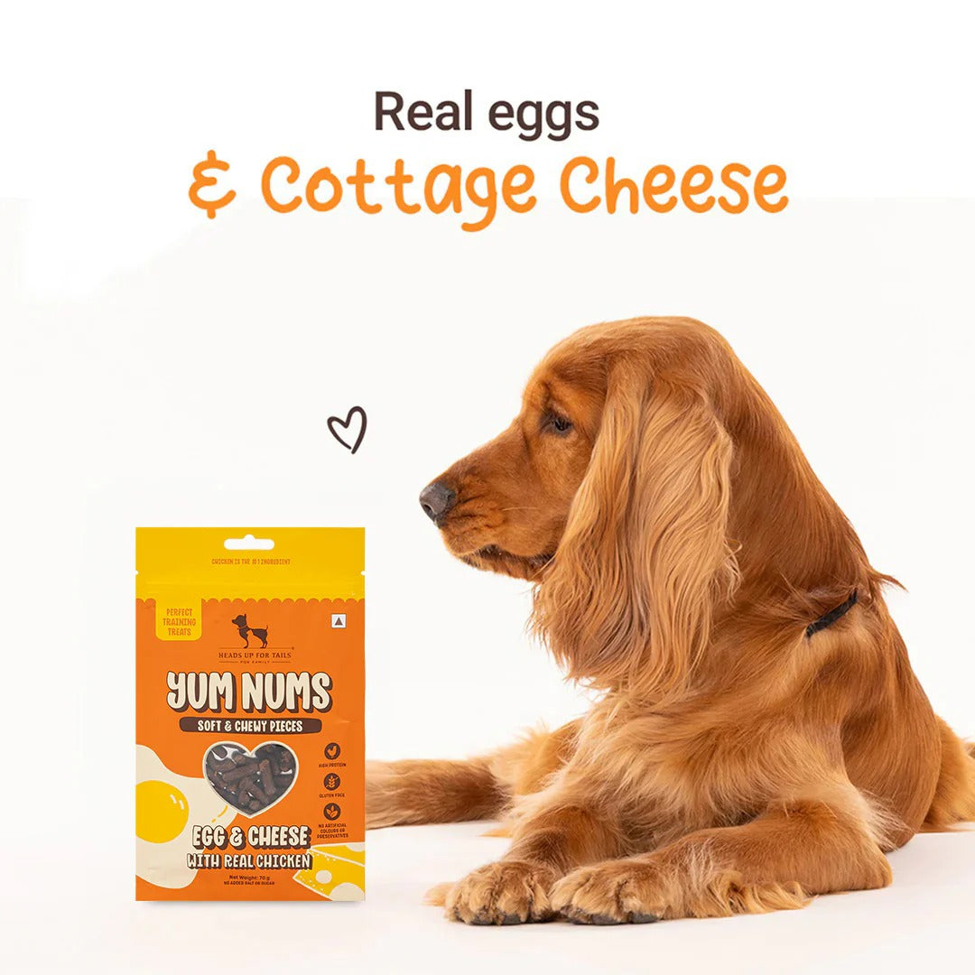 HUFT Yum Nums Soft & Chewy Sticks Egg & Cheese With Real Chicken Treat For Dogs