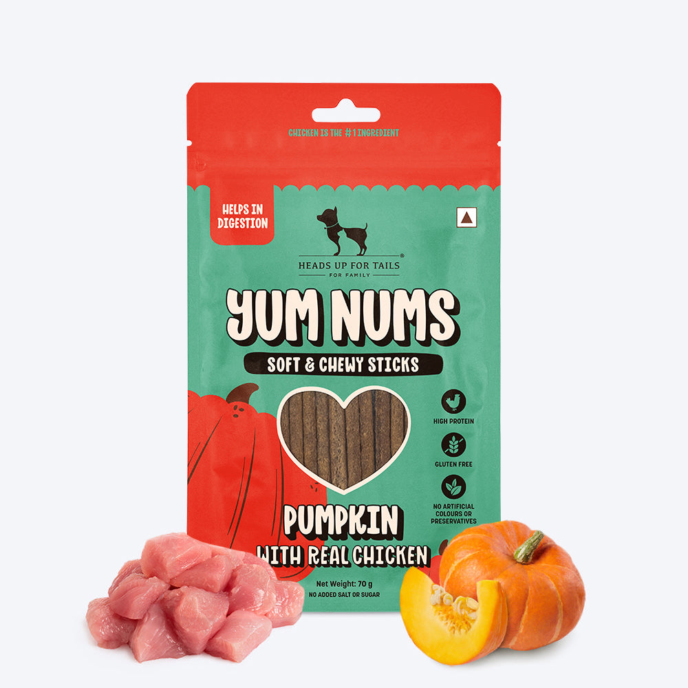 HUFT Yum Nums Soft & Chewy Sticks Pumpkin with Real Chicken Treat For Dogs - 70 g