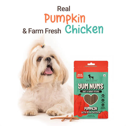 HUFT Yum Nums Soft & Chewy Sticks Pumpkin with Real Chicken Treat For Dogs - 70 g