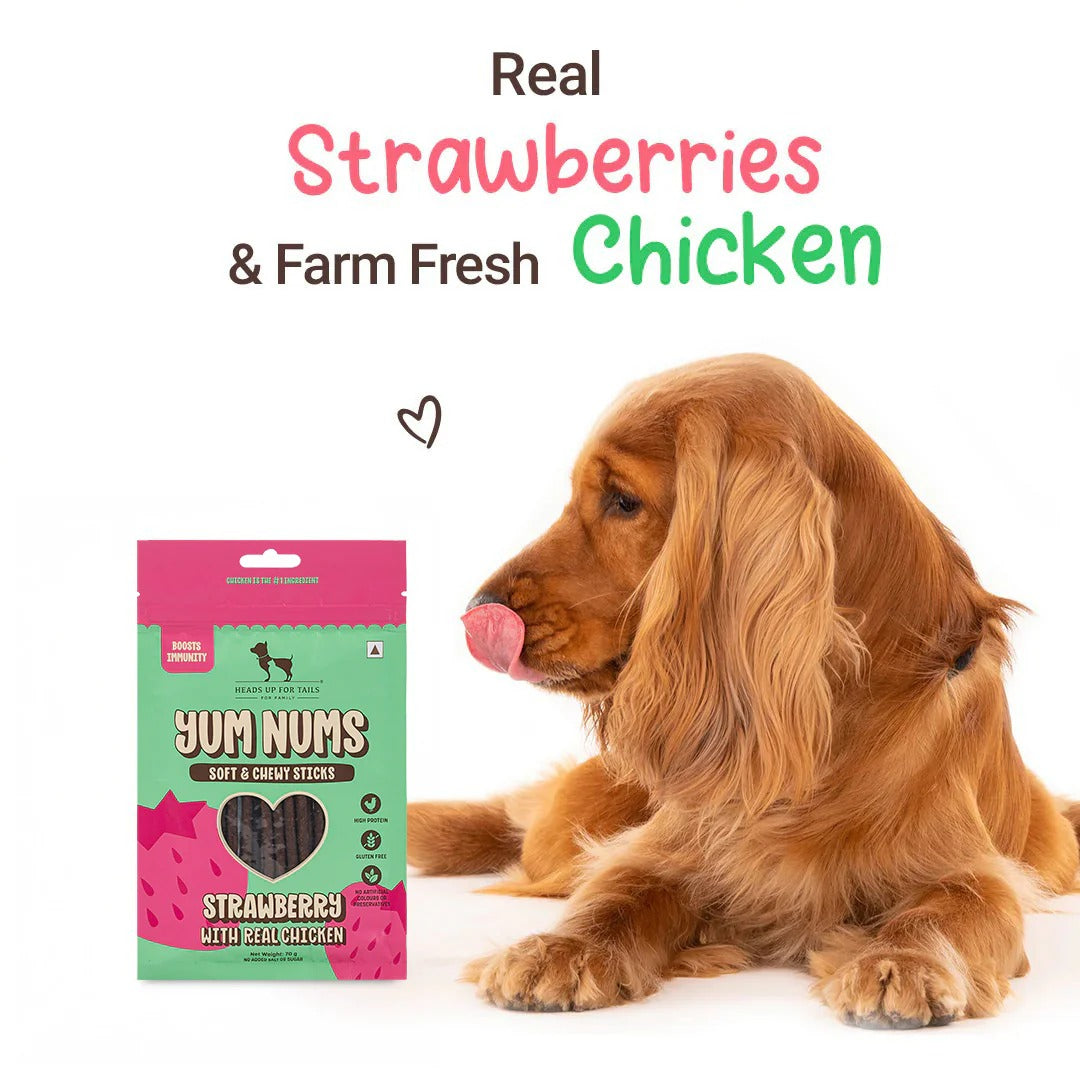 HUFT Yum Nums Soft & Chewy Sticks Strawberry with Real Chicken Treat For Dogs