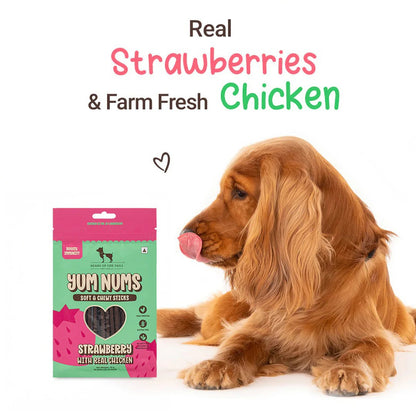 HUFT Yum Nums Soft & Chewy Sticks Strawberry with Real Chicken Treat For Dogs