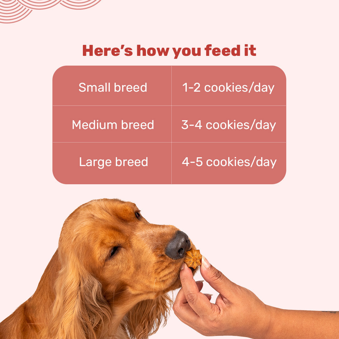 HUFT Goat Milk Dog Cookies - Apple - 200 g