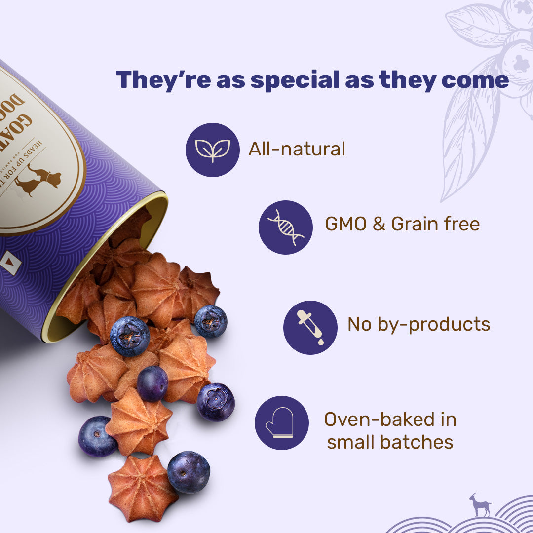 HUFT Goat Milk Dog Cookies - Blueberry - 200 g