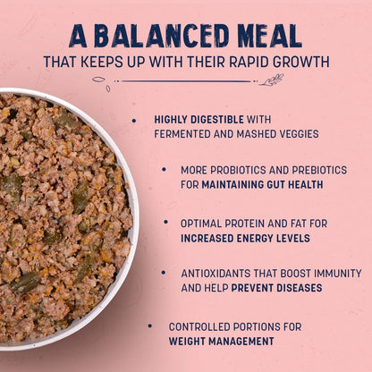 Sara's Wholesome Chicken & Brown Rice Puppy Food - 100 gm