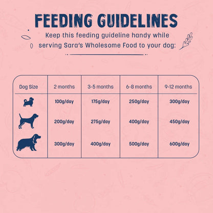 Sara's Wholesome Chicken & Brown Rice Puppy Food - 100 gm