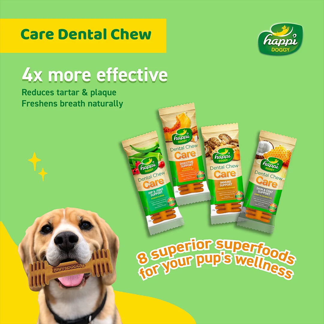 Happi Doggy Vegetarian Dental Chew (Digestive Support) - Pumpkin & Mountain Yam (Singles) - 25 g