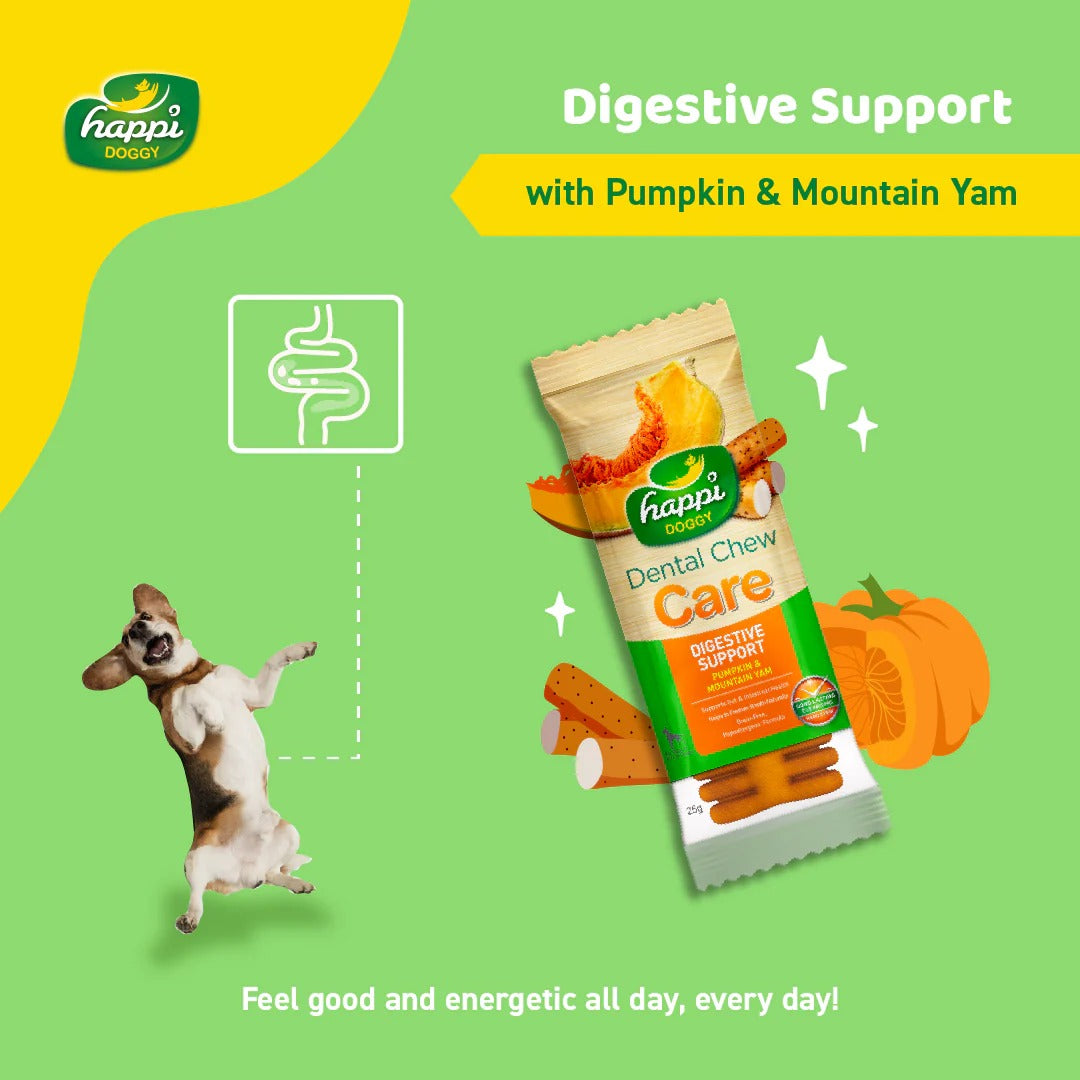 Happi Doggy Vegetarian Dental Chew (Digestive Support) - Pumpkin & Mountain Yam (Singles) - 25 g