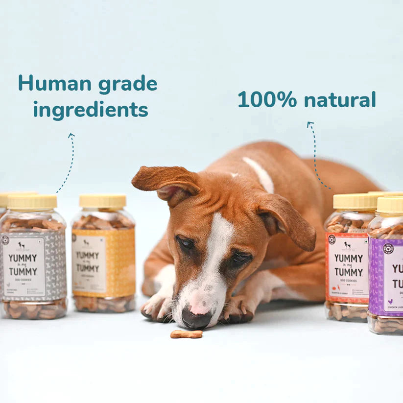 HUFT YIMT Banana And Peanut Butter Dog Biscuits - Heads Up For Tails
