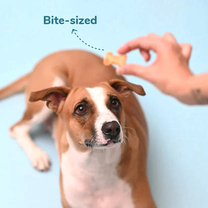 HUFT YIMT Banana And Peanut Butter Dog Biscuits - Heads Up For Tails