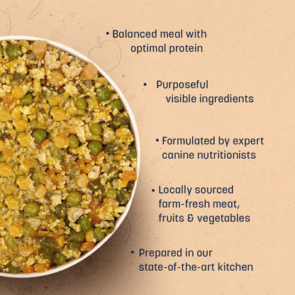 HUFT Sara's Wholesome Food - Classic Paneer And Eggs Dog Food (300gm Pack) - Heads Up For Tails