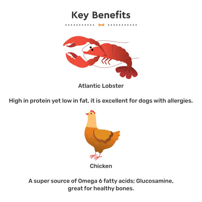 Loveabowl Grain Free Chicken With Atlantic Lobster Gut-Friendly Dog Dry Food - Heads Up For Tails