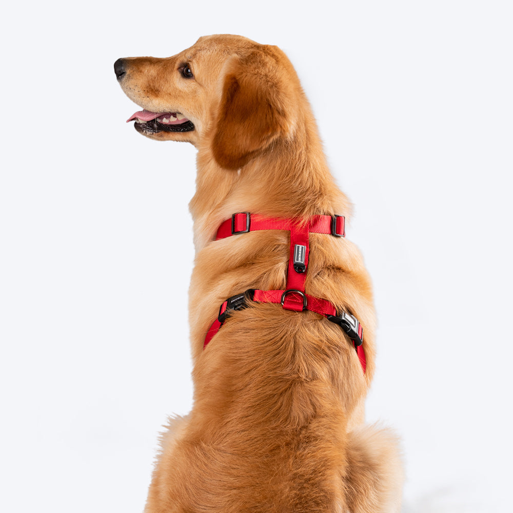 HUFT Essentials Nylon Dog H-Harness - Red - Heads Up For Tails