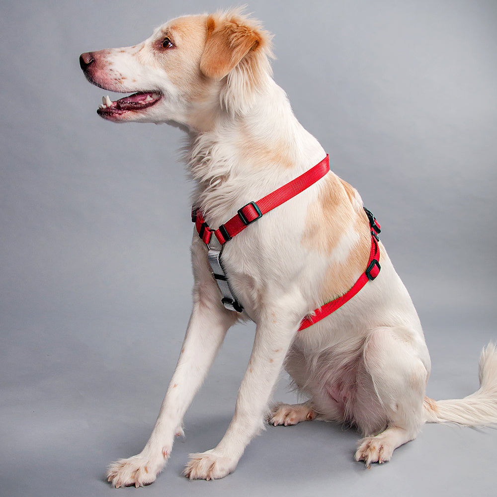 HUFT Essentials Nylon Dog H-Harness - Red - Heads Up For Tails