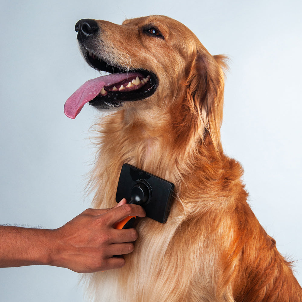 HUFT Pet Massage Brush - Heads Up For Tails