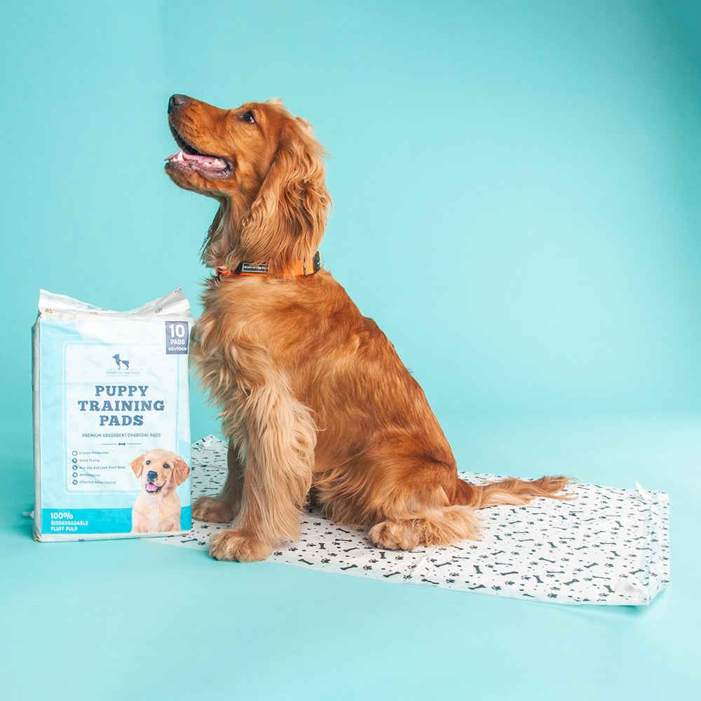 HUFT Charcoal Puppy Training Pads - 60 x 90 cm - Heads Up For Tails