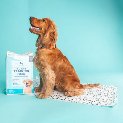 HUFT Charcoal Puppy Training Pads - 60 x 90 cm - Heads Up For Tails