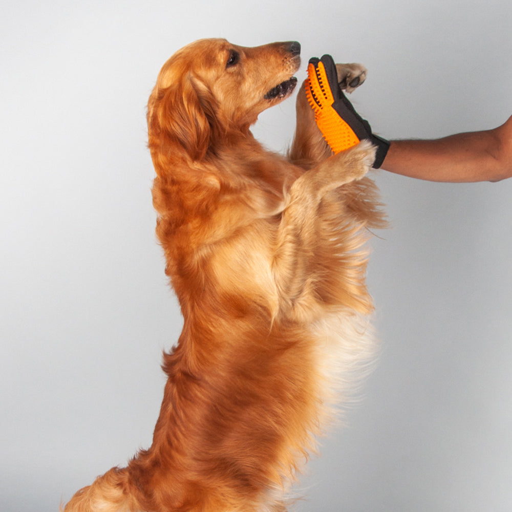 HUFT Pet Grooming Finger Glove - Orange - Heads Up For Tails